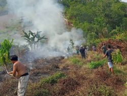 Kebakaran Lahan di Tinombo, BPBD Soroti Bahaya Bakar Sampah