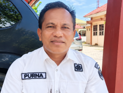 Parimo Tawarkan 35 Ribu Hektare untuk Peternakan Sapi Perah, Bidik Pasar MBG